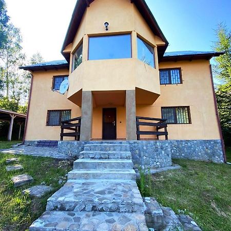 Villa Casa Ionel Si Dani Fundata Exterior foto