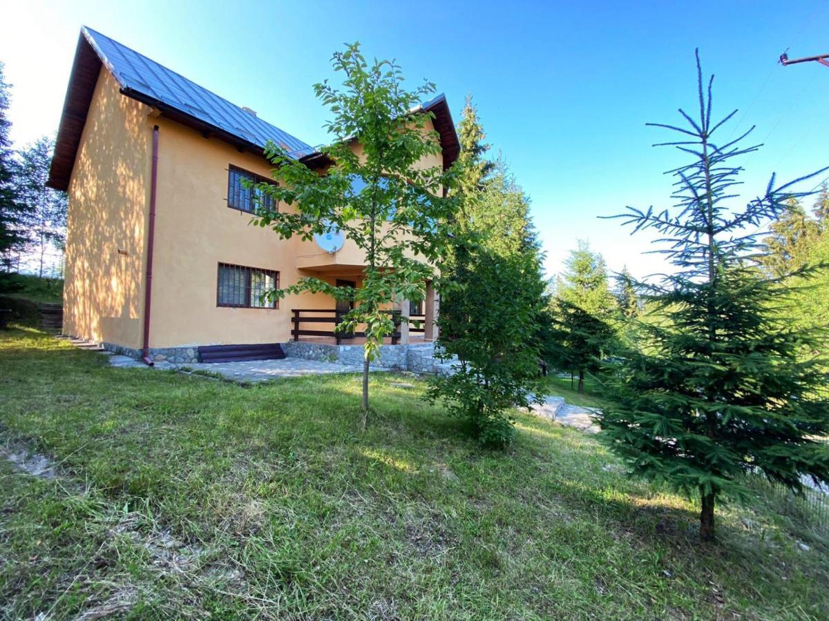 Villa Casa Ionel Si Dani Fundata Exterior foto