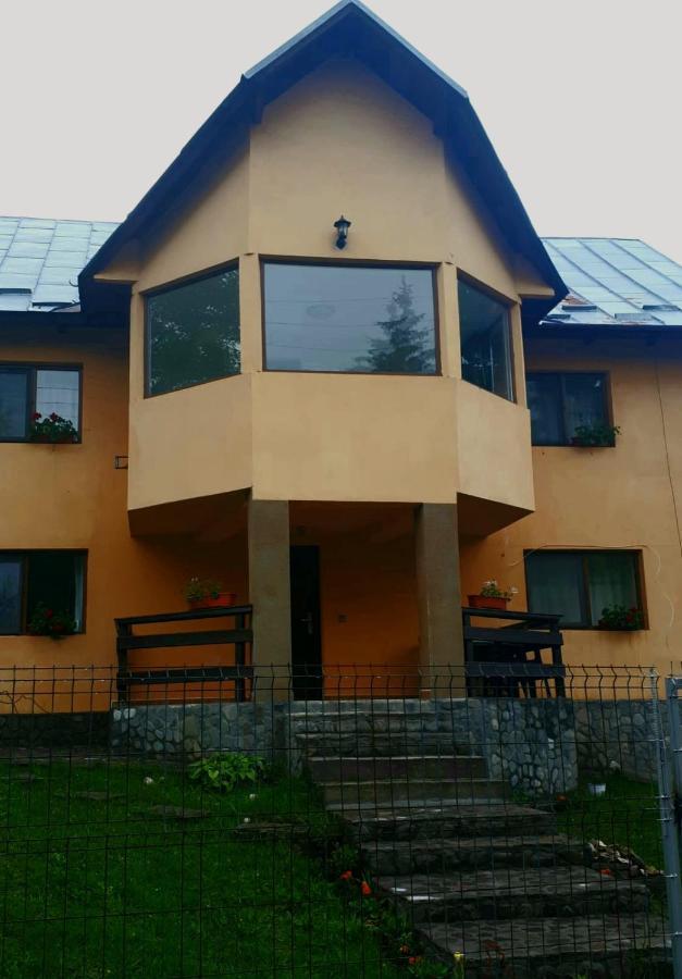 Villa Casa Ionel Si Dani Fundata Exterior foto